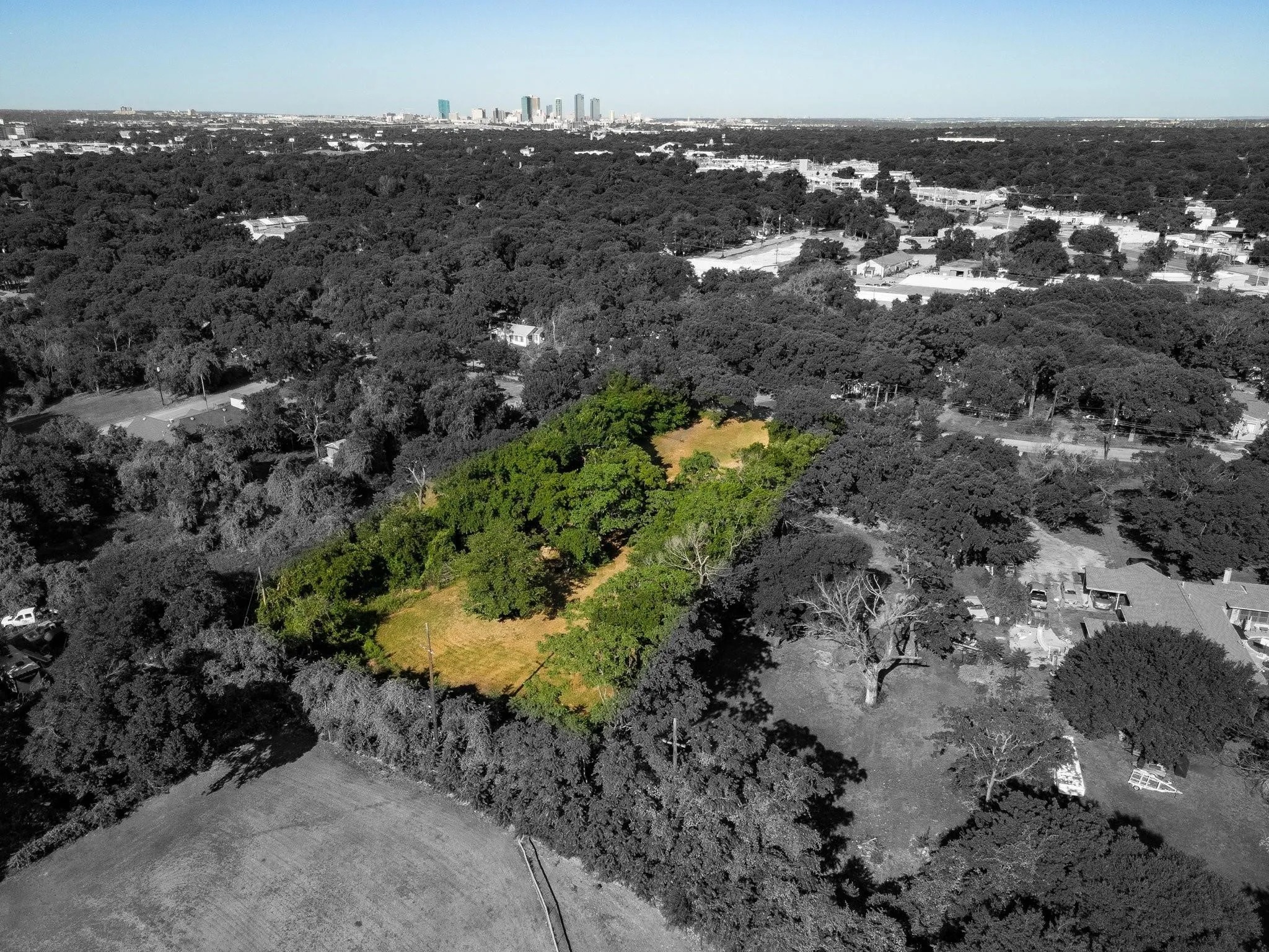 Bird's eye view of a forest