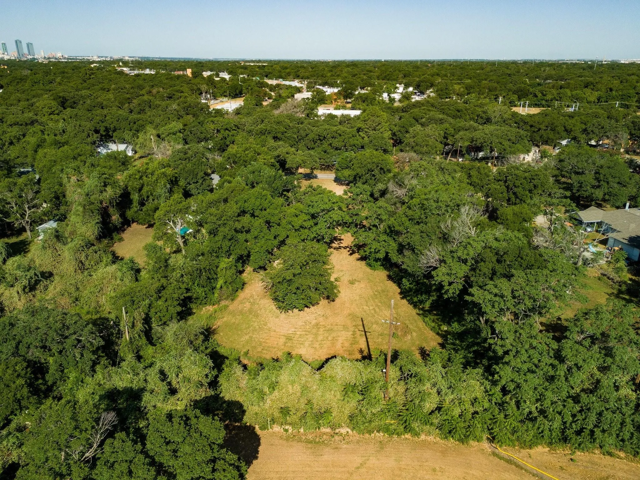 Bird's eye view of a forest