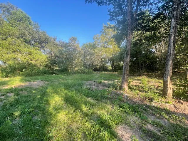 View of yard with a wooded view