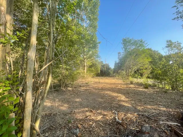 View of nature