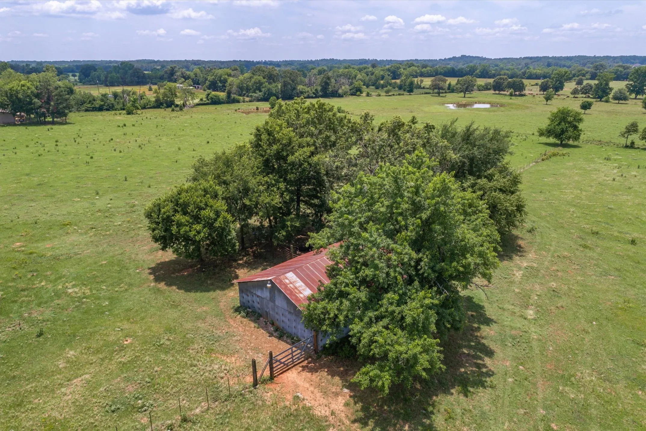 Improved Land For Sale in Smith County , 17104 County Road 1100, Flint, Texas 75762, 0, 0, Garage spaces, 0 Sqft, built in 1985, mls#21051974, Real Estate Agent in Flint, Homes For Sale in Smith county, Homes For Sale in Flint, Realtor in Flint Texas, Real Estate Brokerage Independent Realty Texas, Luminita Cordes Realtor