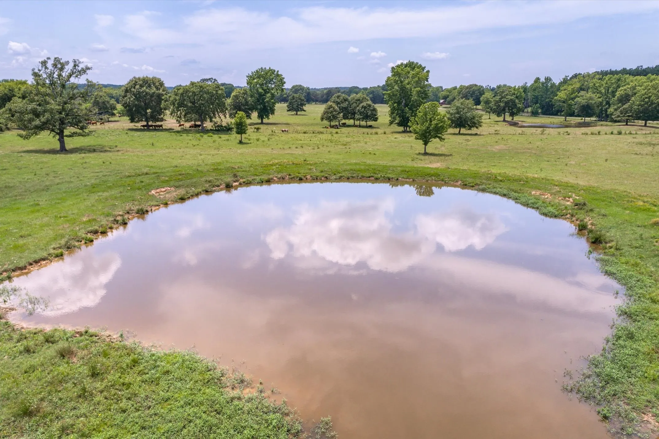 Improved Land For Sale in Smith County , 17104 County Road 1100, Flint, Texas 75762, 0, 0, Garage spaces, 0 Sqft, built in 1985, mls#21051974, Real Estate Agent in Flint, Homes For Sale in Smith county, Homes For Sale in Flint, Realtor in Flint Texas, Real Estate Brokerage Independent Realty Texas, Luminita Cordes Realtor