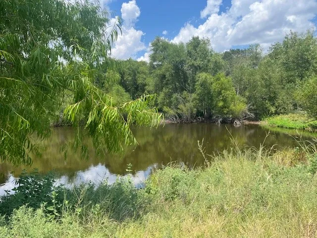 Pond