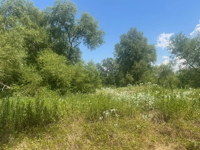 Single Family Residence For Sale in Delta County , 455 Fm 71, Commerce, Texas 75428, 7 Bedroom, 6 Bathroom, Garage spaces, 2,747 Sqft, built in 2015, Preowned, mls#21044762, Real Estate Agent in Commerce, Homes For Sale in Delta county, Homes For Sale in Commerce, Realtor in Commerce Texas, Real Estate Brokerage Independent Realty Texas, Luminita Cordes Realtor