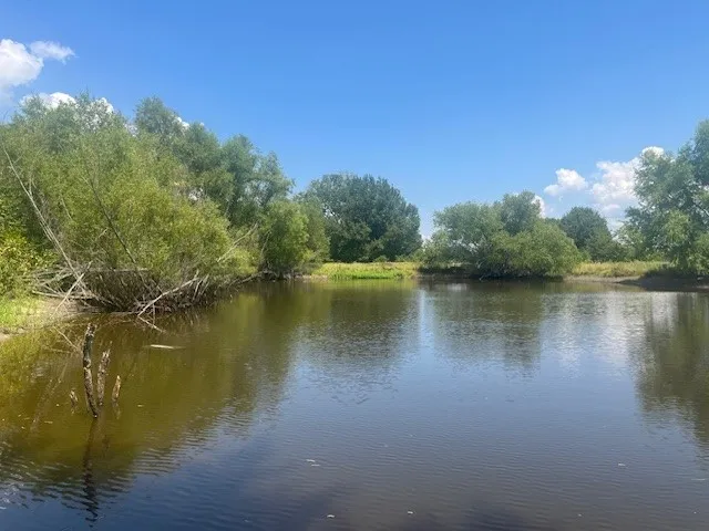Pond