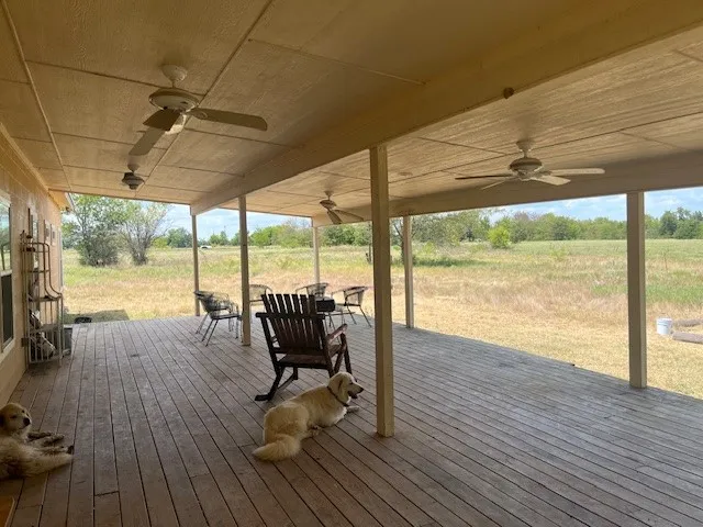 Back patio