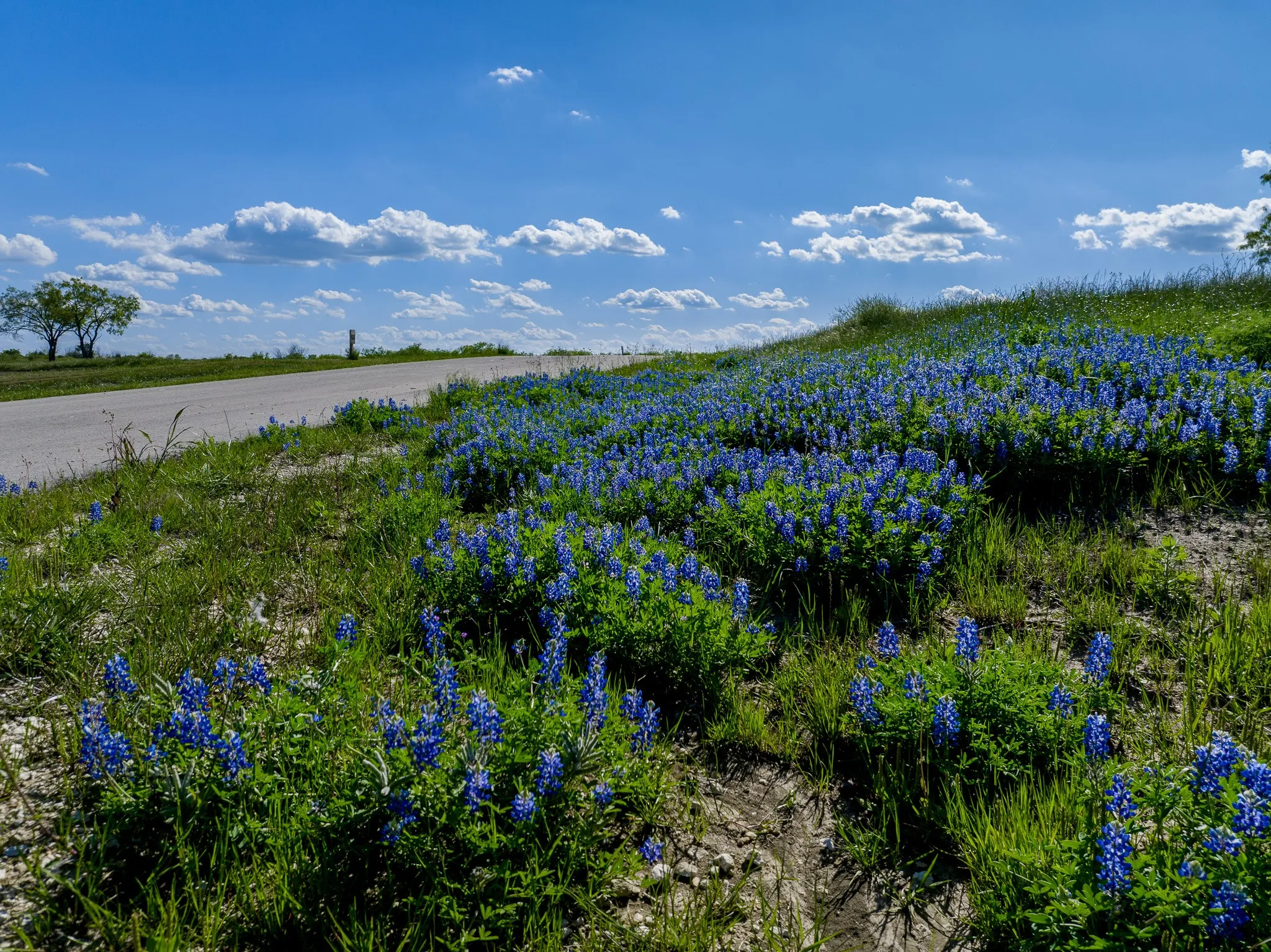 Unimproved Land For Sale in Navarro County , Lot 65 Richland Park, Corsicana, Texas 75109, 0, 0, Garage spaces, 0 Sqft, built in 0, mls#21041069, Real Estate Agent in Corsicana, Homes For Sale in Navarro county, Homes For Sale in Corsicana, Realtor in Corsicana Texas, Real Estate Brokerage Independent Realty Texas, Luminita Cordes Realtor