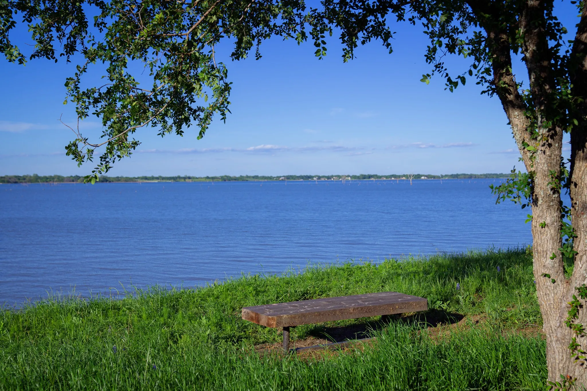 Unimproved Land For Sale in Navarro County , Lot 65 Richland Park, Corsicana, Texas 75109, 0, 0, Garage spaces, 0 Sqft, built in 0, mls#21041069, Real Estate Agent in Corsicana, Homes For Sale in Navarro county, Homes For Sale in Corsicana, Realtor in Corsicana Texas, Real Estate Brokerage Independent Realty Texas, Luminita Cordes Realtor