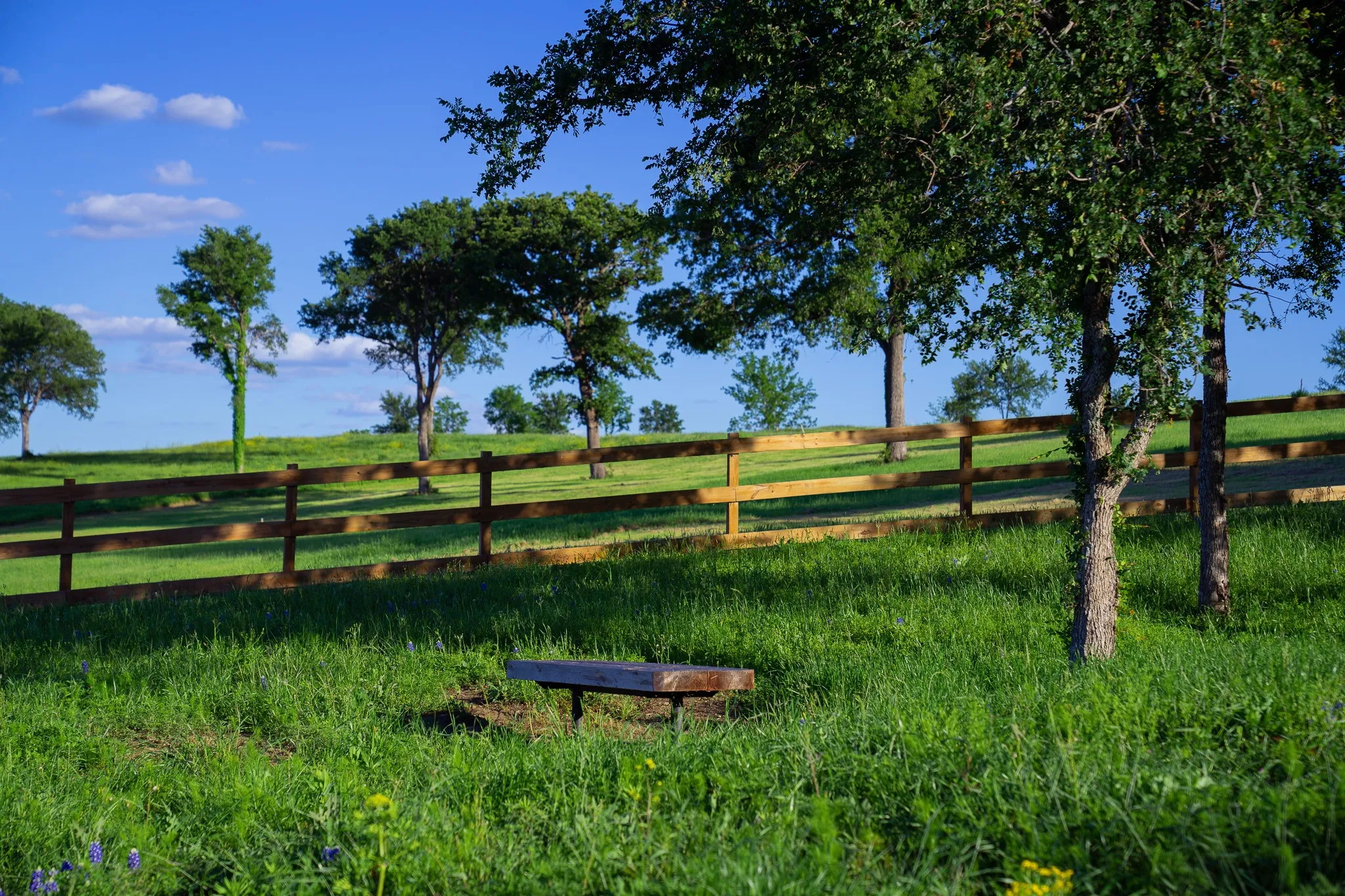 Unimproved Land For Sale in Navarro County , Lot 65 Richland Park, Corsicana, Texas 75109, 0, 0, Garage spaces, 0 Sqft, built in 0, mls#21041069, Real Estate Agent in Corsicana, Homes For Sale in Navarro county, Homes For Sale in Corsicana, Realtor in Corsicana Texas, Real Estate Brokerage Independent Realty Texas, Luminita Cordes Realtor