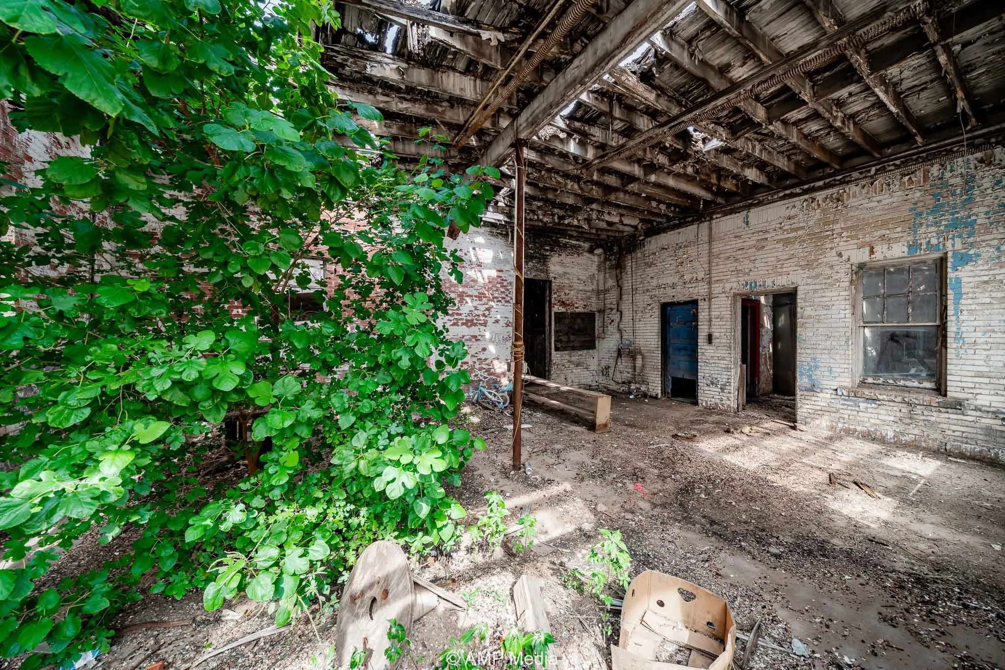 Business For Sale in Jones County , 211 N Swenson Street, Stamford, Texas 79553, 0, 0, Garage spaces, 0 Sqft, built in 1955, Preowned, mls#21056753, Real Estate Agent in Stamford, Homes For Sale in Jones county, Homes For Sale in Stamford, Realtor in Stamford Texas, Real Estate Brokerage Independent Realty Texas, Luminita Cordes Realtor
