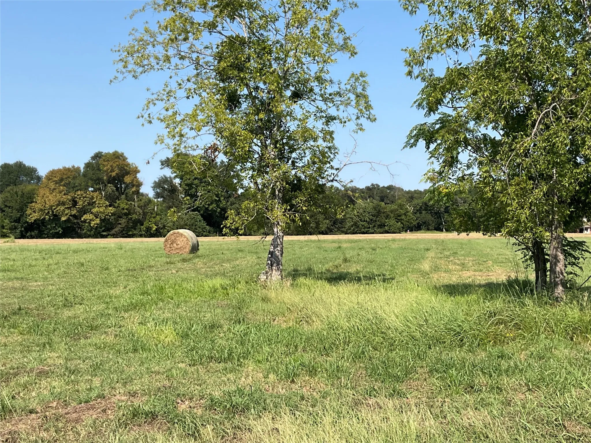 Unimproved Land For Sale in Navarro County , Lot 58 Grandview Drive, Corsicana, Texas 75109, 0, 0, Garage spaces, 0 Sqft, built in 0, mls#21018787, Real Estate Agent in Corsicana, Homes For Sale in Navarro county, Homes For Sale in Corsicana, Realtor in Corsicana Texas, Real Estate Brokerage Independent Realty Texas, Luminita Cordes Realtor