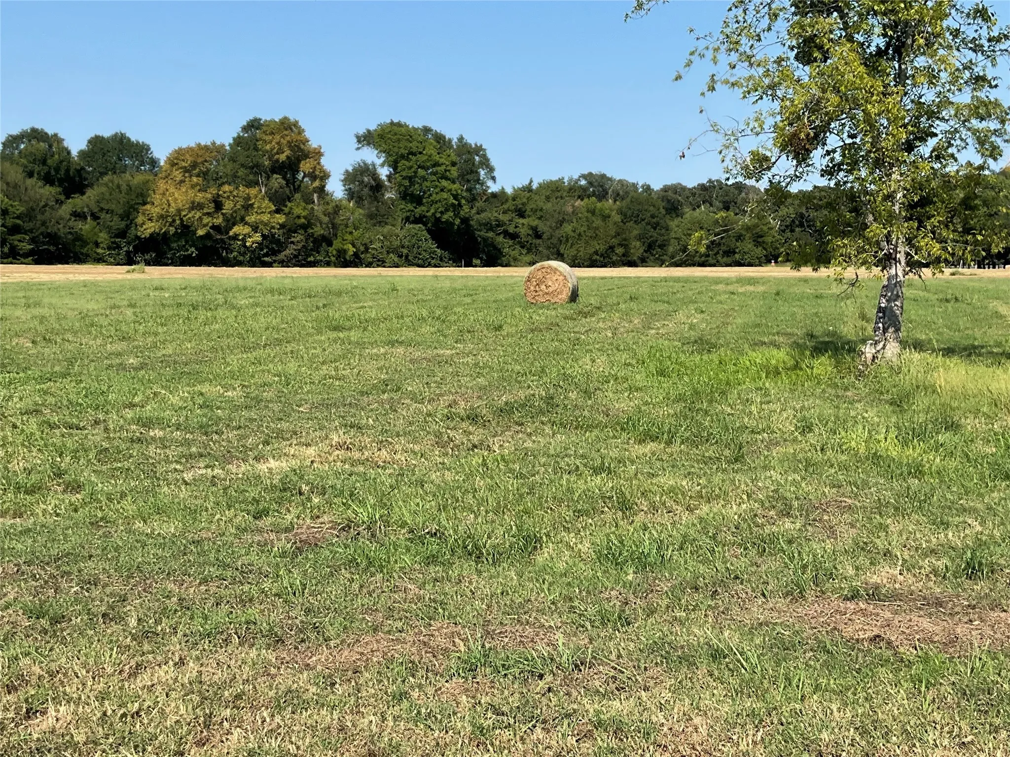 Unimproved Land For Sale in Navarro County , Lot 58 Grandview Drive, Corsicana, Texas 75109, 0, 0, Garage spaces, 0 Sqft, built in 0, mls#21018787, Real Estate Agent in Corsicana, Homes For Sale in Navarro county, Homes For Sale in Corsicana, Realtor in Corsicana Texas, Real Estate Brokerage Independent Realty Texas, Luminita Cordes Realtor