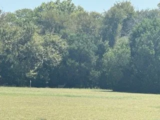 Unimproved Land For Sale in Hill County , 1017 White Bluff Drive, Whitney, Texas 76692, 0, 0, Garage spaces, 0 Sqft, built in 0, mls#21056595, Real Estate Agent in Whitney, Homes For Sale in Hill county, Homes For Sale in Whitney, Realtor in Whitney Texas, Real Estate Brokerage Independent Realty Texas, Luminita Cordes Realtor