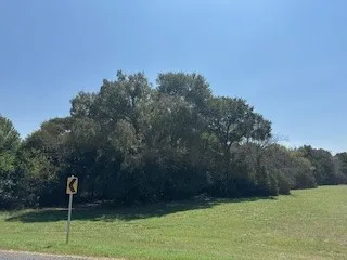 Unimproved Land For Sale in Hill County , 1017 White Bluff Drive, Whitney, Texas 76692, 0, 0, Garage spaces, 0 Sqft, built in 0, mls#21056595, Real Estate Agent in Whitney, Homes For Sale in Hill county, Homes For Sale in Whitney, Realtor in Whitney Texas, Real Estate Brokerage Independent Realty Texas, Luminita Cordes Realtor
