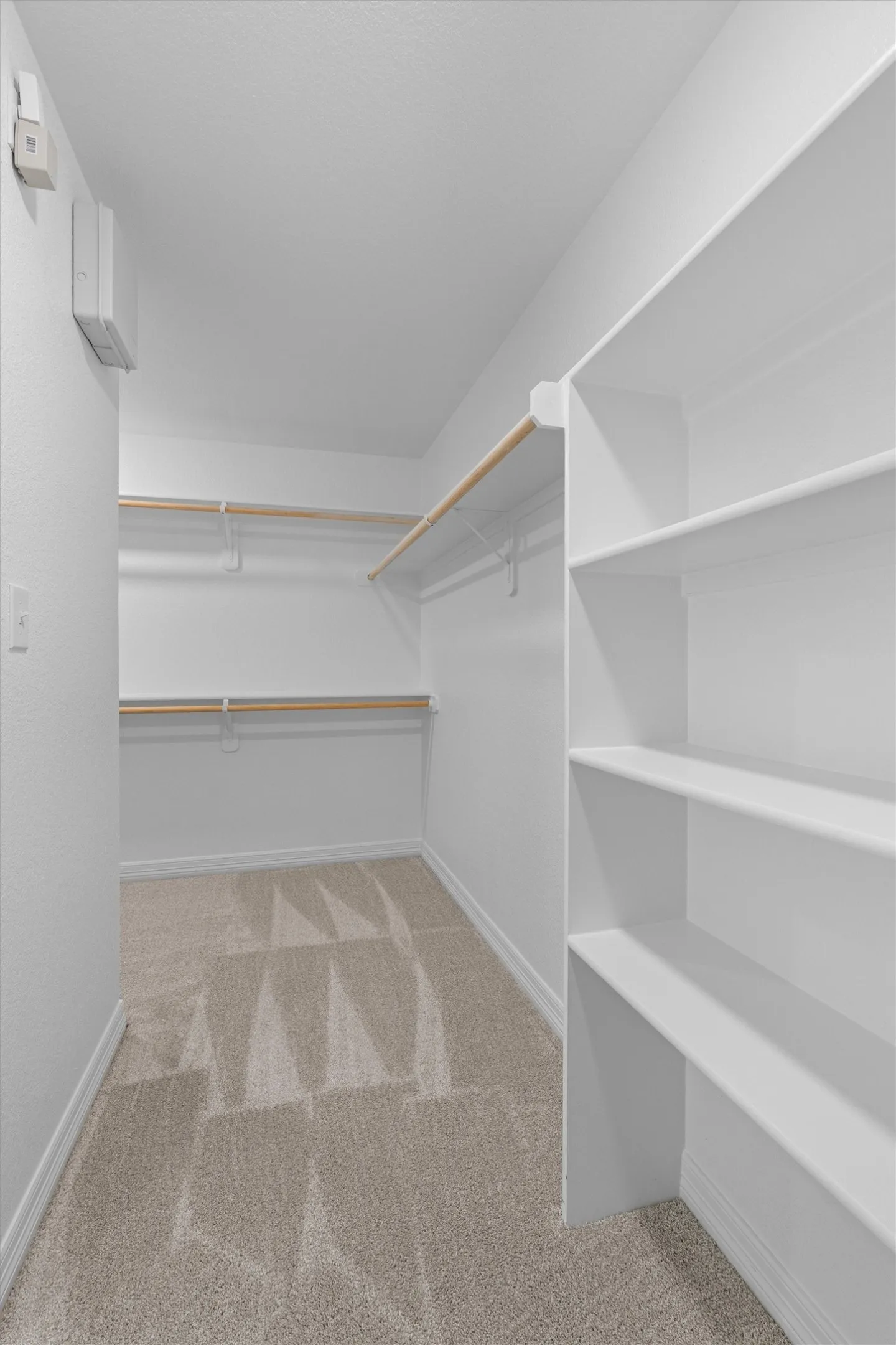 Spacious walk-in closet featuring light-toned carpeting, multiple clothing rods, and built-in shelving units for organized storage