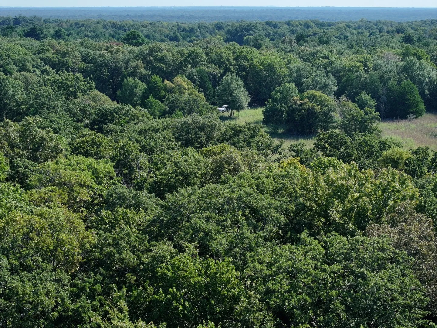 View of property location featuring a forest