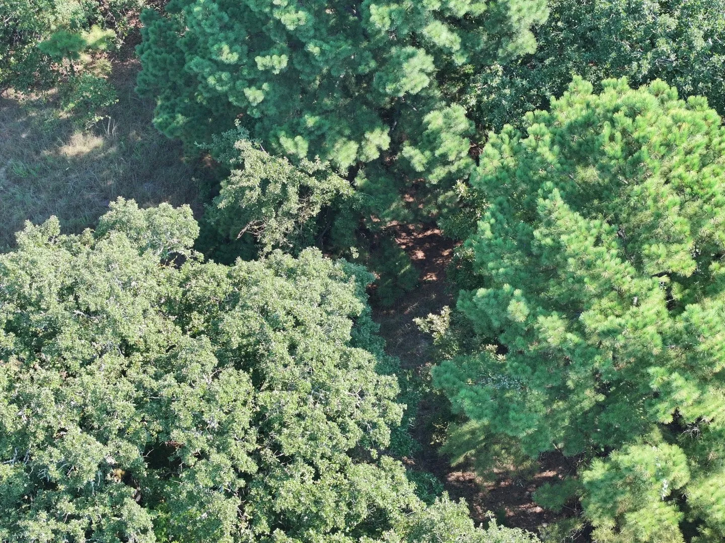 Aerial overview of property's location with a heavily wooded area