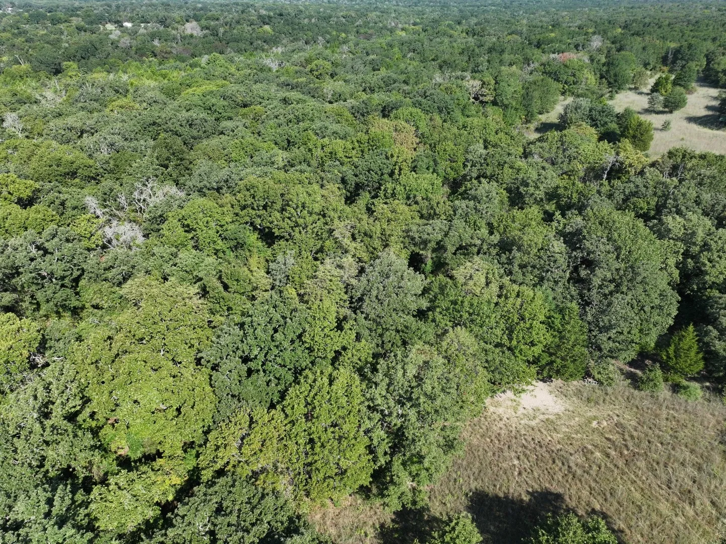View of property location featuring a heavily wooded area