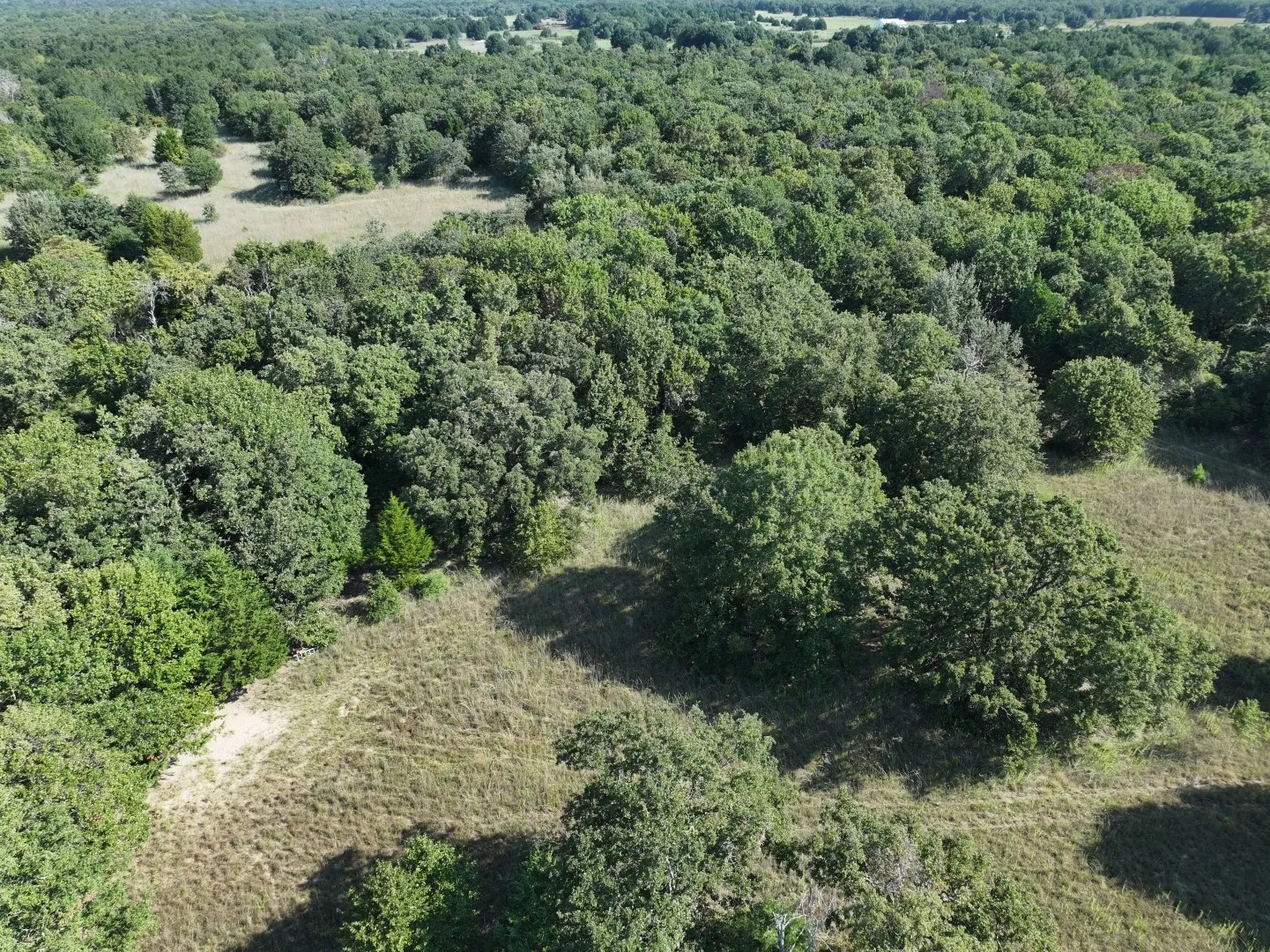 Aerial view of property's location