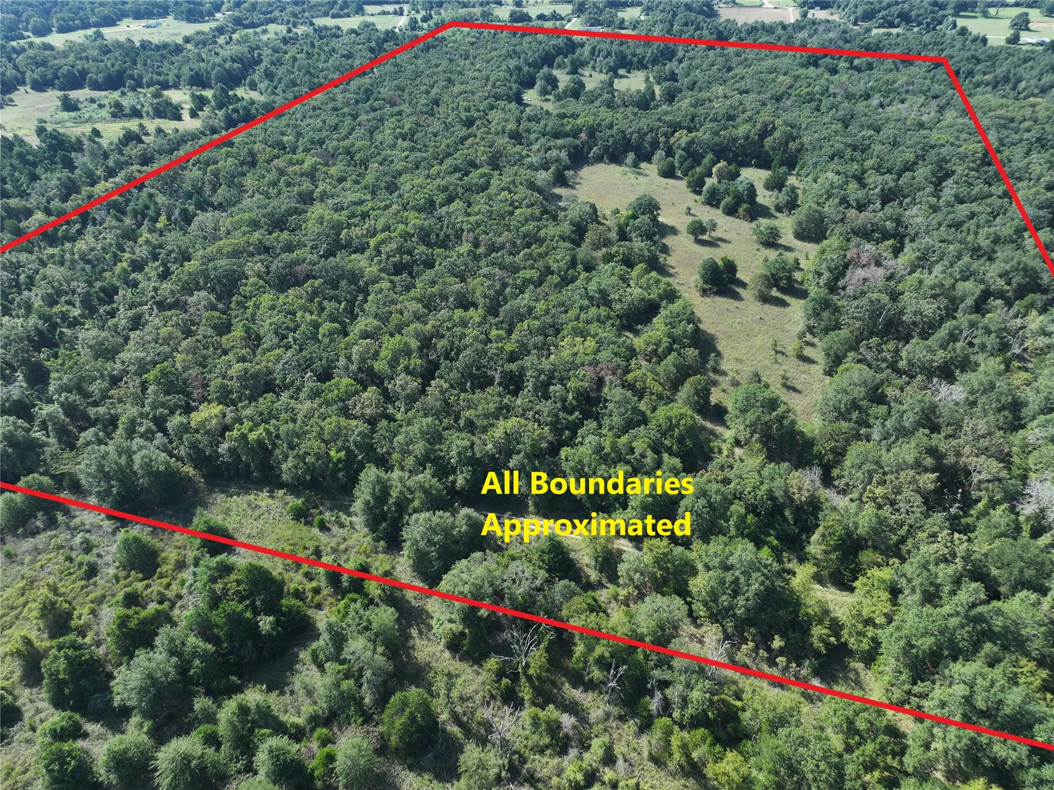 Unimproved Land For Sale in Freestone County , TBD CR 935, Teague, Texas 75860, 0, 0, Garage spaces, 0 Sqft, built in 0, mls#21057555, Real Estate Agent in Teague, Homes For Sale in Freestone county, Homes For Sale in Teague, Realtor in Teague Texas, Real Estate Brokerage Independent Realty Texas, Luminita Cordes Realtor