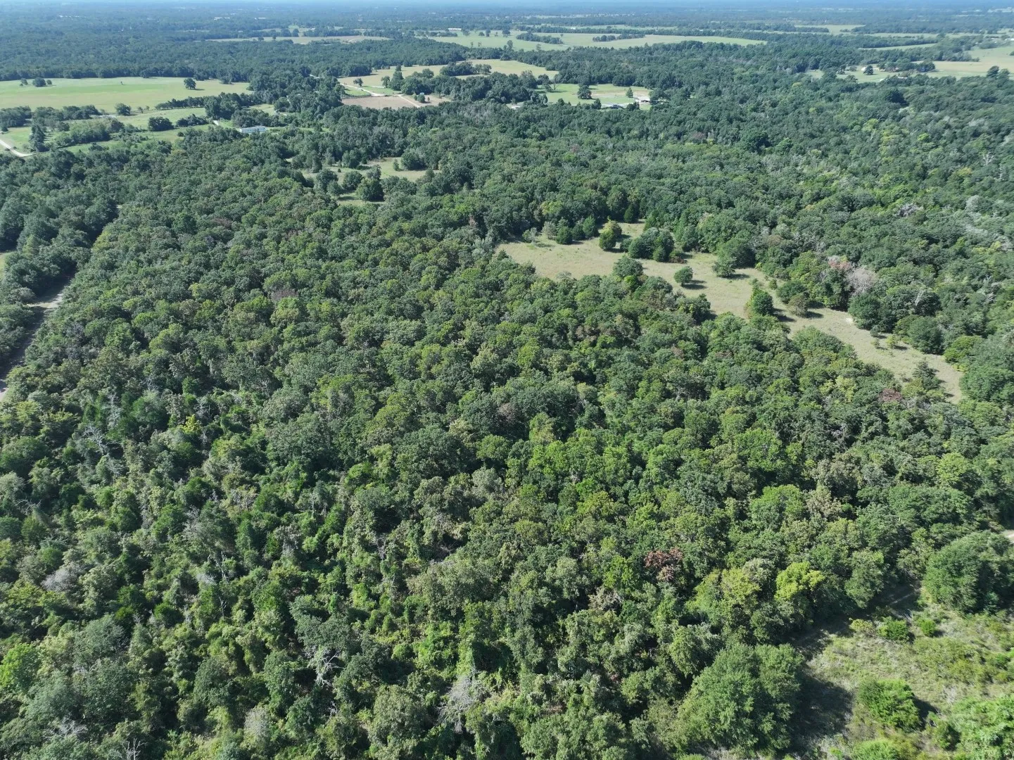 Aerial view of property and surrounding area featuring a heavily wooded area