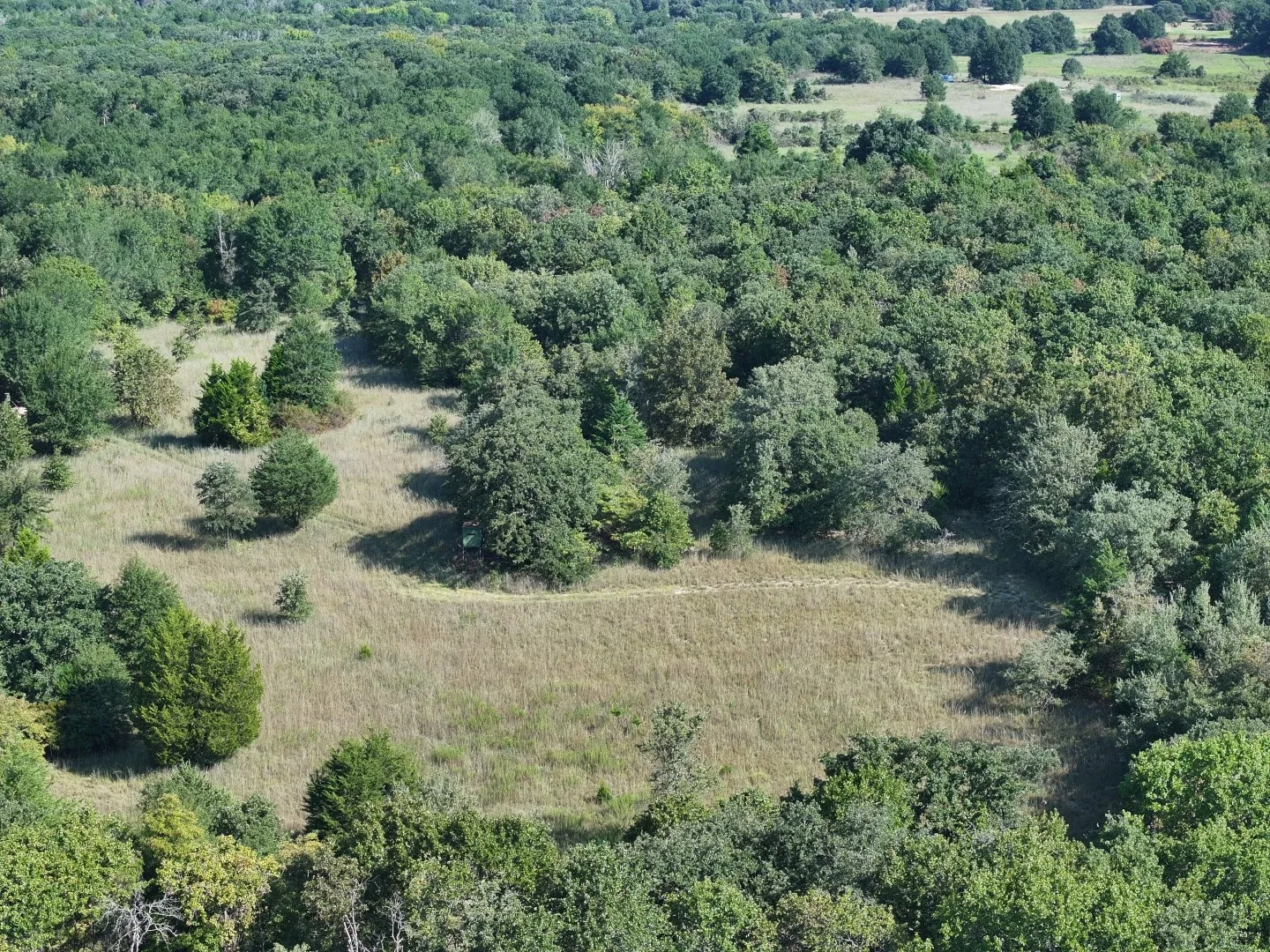 Aerial view of a heavily wooded area