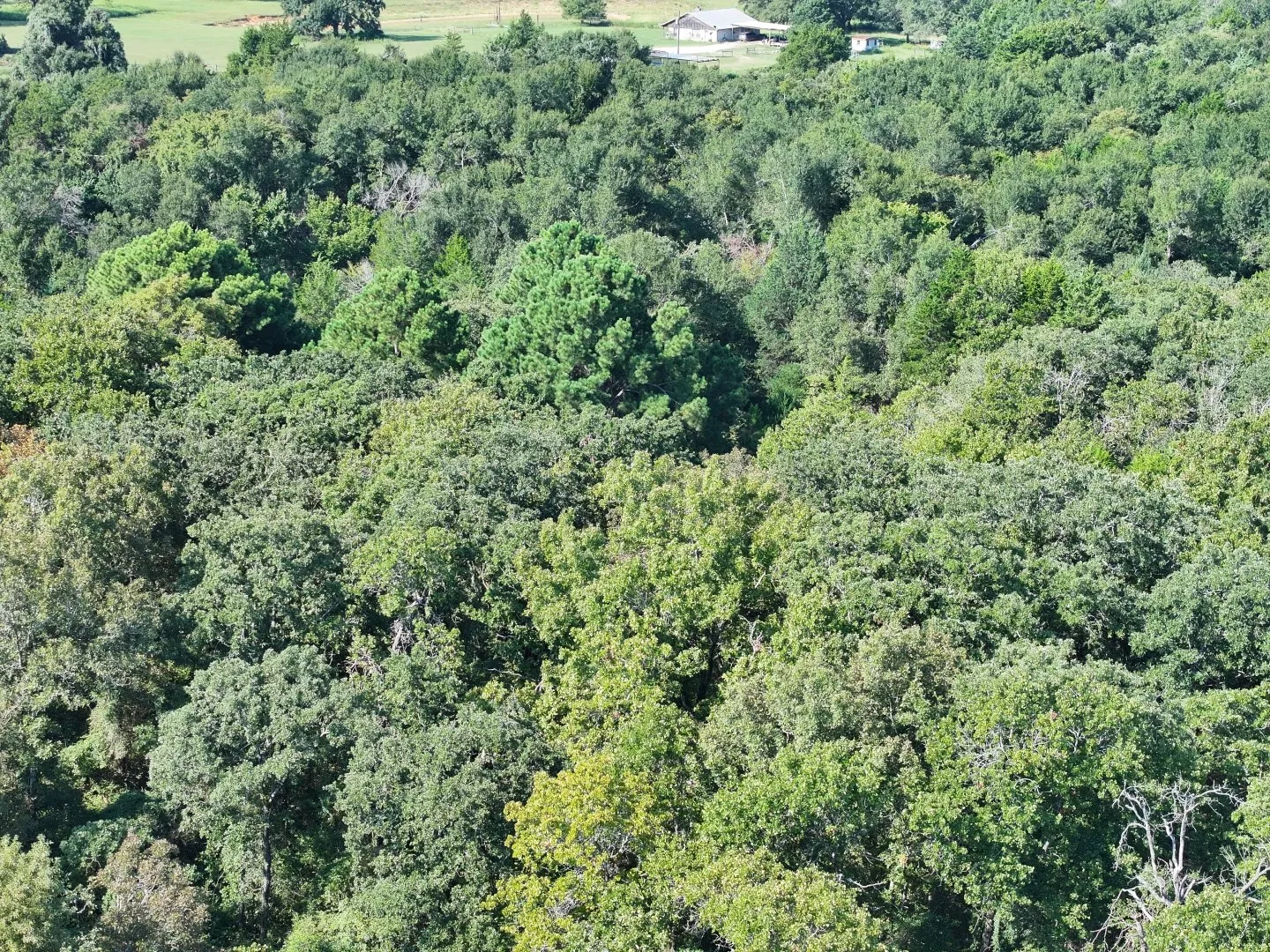 Aerial view of property and surrounding area with a forest