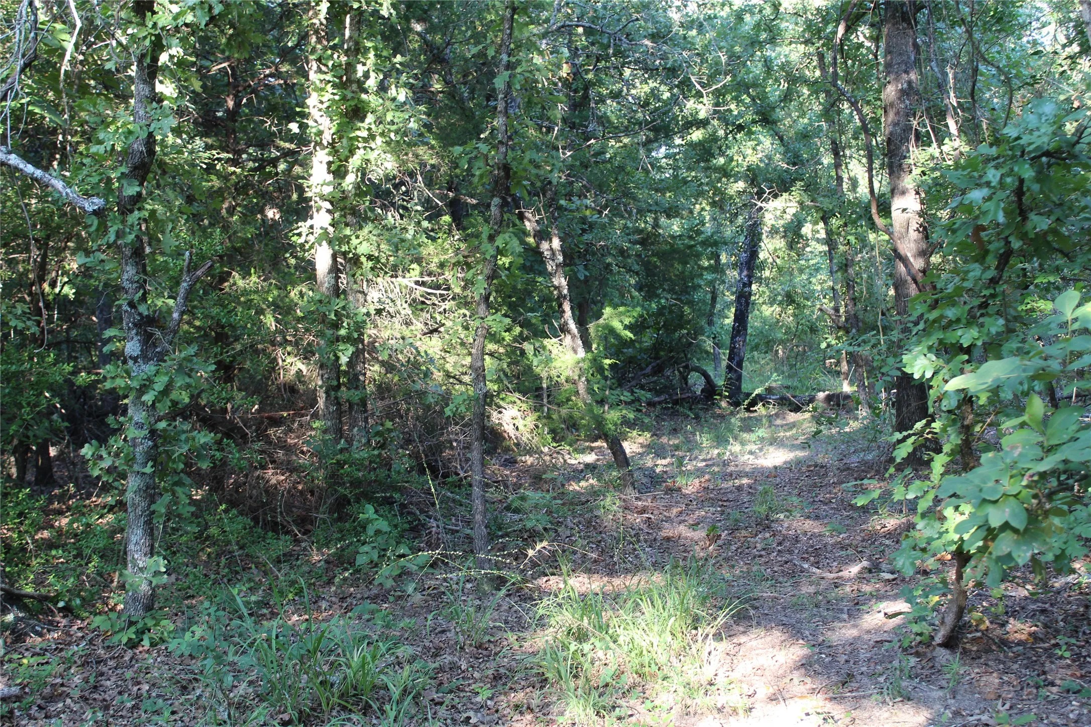 View of undeveloped land