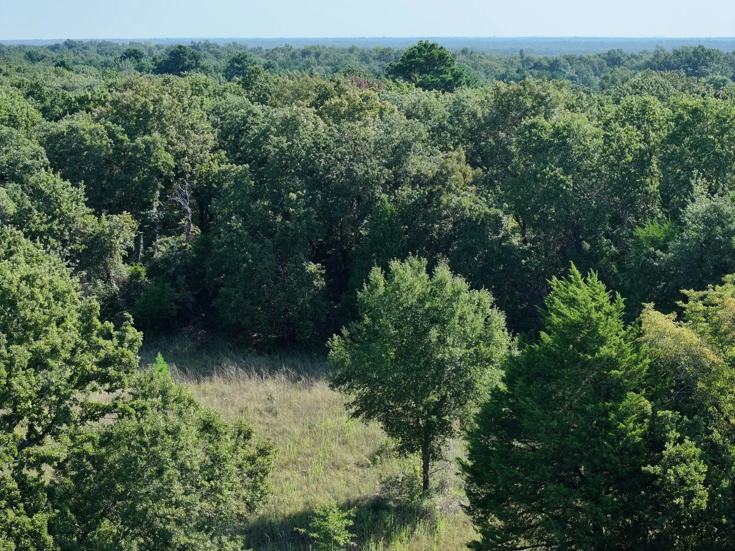 Aerial view of property and surrounding area with a heavily wooded area