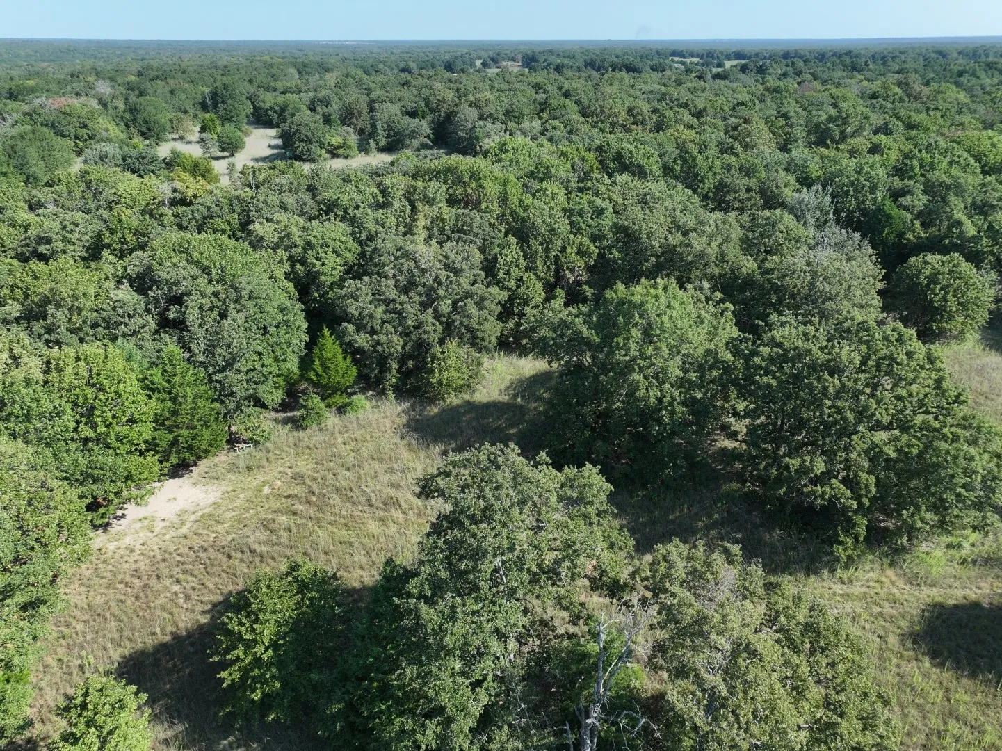 View of property location with a heavily wooded area