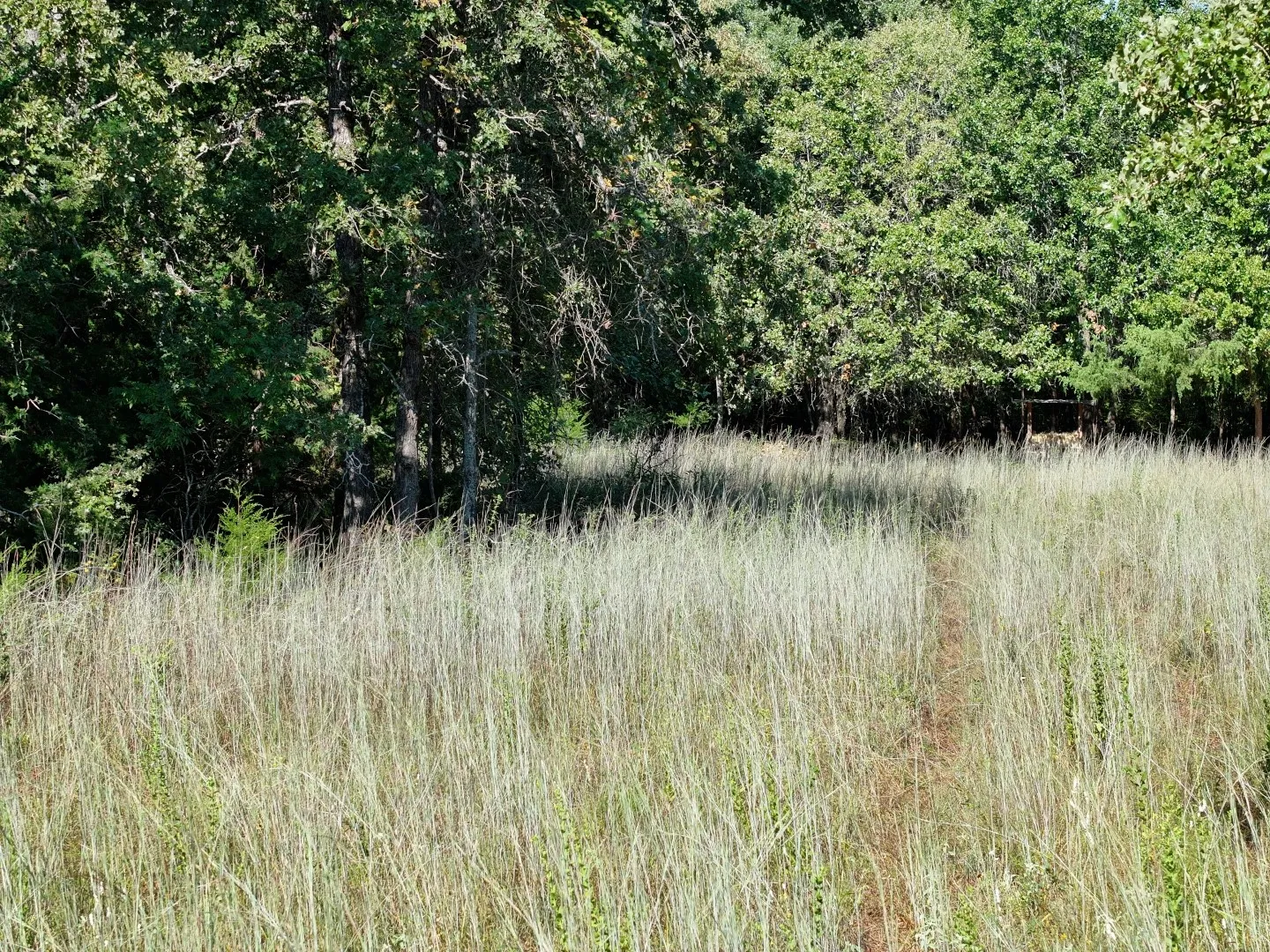 View of undeveloped land