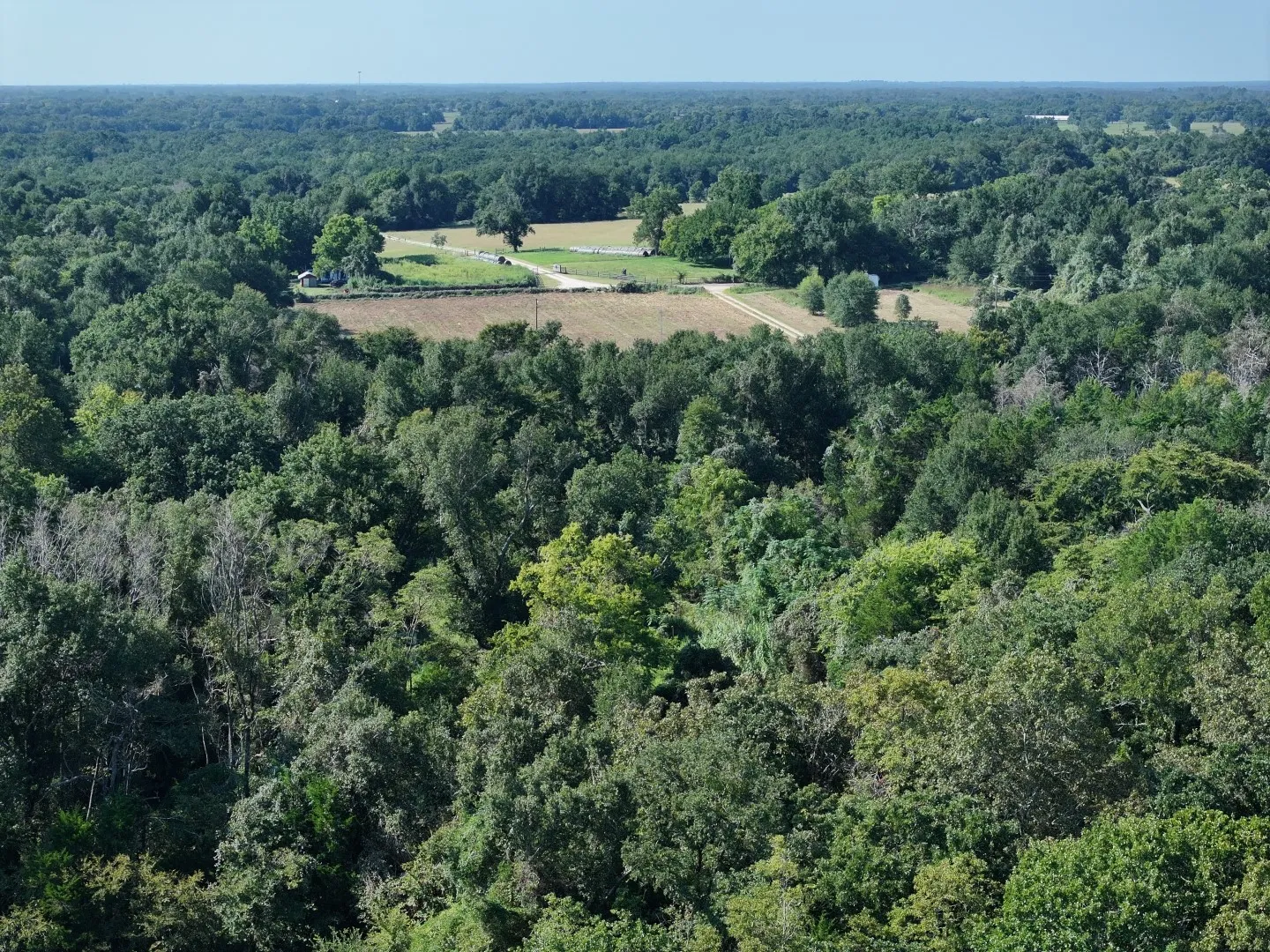 Aerial view of property and surrounding area featuring a forest
