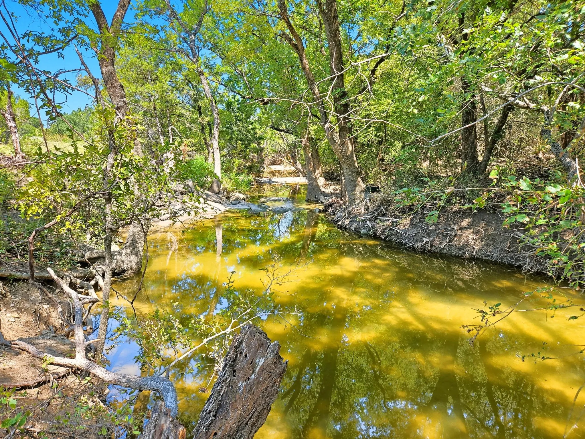 Ranch For Sale in Coryell County , TBD-196.5 acres FM 116 Road, Gatesville, Texas 76528, 0, 0, Garage spaces, 0 Sqft, built in 0, mls#21057769, Real Estate Agent in Gatesville, Homes For Sale in Coryell county, Homes For Sale in Gatesville, Realtor in Gatesville Texas, Real Estate Brokerage Independent Realty Texas, Luminita Cordes Realtor