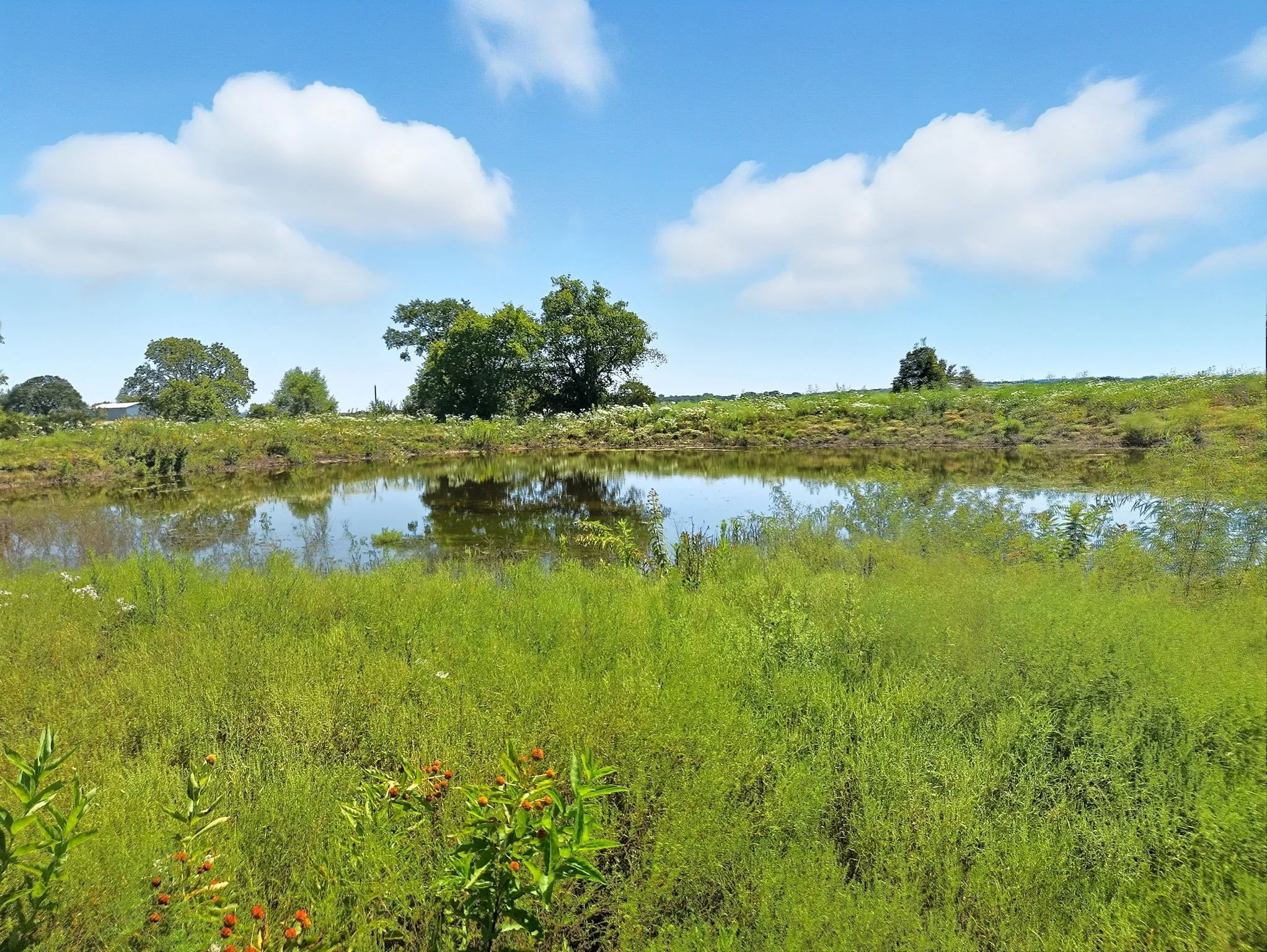 Ranch For Sale in Coryell County , TBD-196.5 acres FM 116 Road, Gatesville, Texas 76528, 0, 0, Garage spaces, 0 Sqft, built in 0, mls#21057769, Real Estate Agent in Gatesville, Homes For Sale in Coryell county, Homes For Sale in Gatesville, Realtor in Gatesville Texas, Real Estate Brokerage Independent Realty Texas, Luminita Cordes Realtor