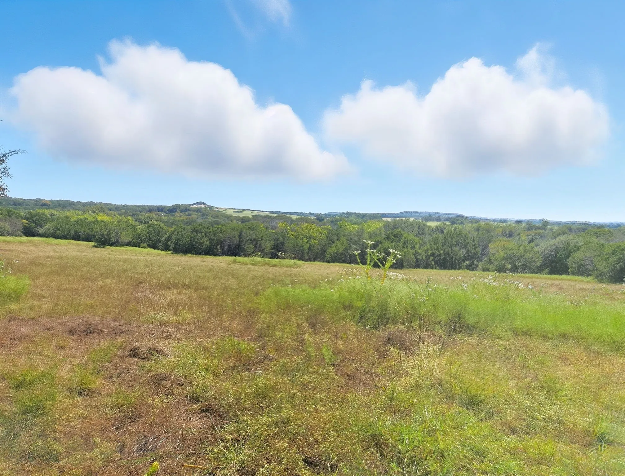 Ranch For Sale in Coryell County , TBD-196.5 acres FM 116 Road, Gatesville, Texas 76528, 0, 0, Garage spaces, 0 Sqft, built in 0, mls#21057769, Real Estate Agent in Gatesville, Homes For Sale in Coryell county, Homes For Sale in Gatesville, Realtor in Gatesville Texas, Real Estate Brokerage Independent Realty Texas, Luminita Cordes Realtor