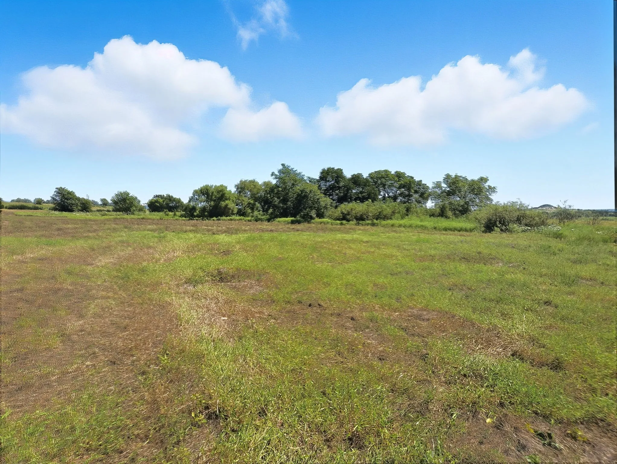 Ranch For Sale in Coryell County , TBD-196.5 acres FM 116 Road, Gatesville, Texas 76528, 0, 0, Garage spaces, 0 Sqft, built in 0, mls#21057769, Real Estate Agent in Gatesville, Homes For Sale in Coryell county, Homes For Sale in Gatesville, Realtor in Gatesville Texas, Real Estate Brokerage Independent Realty Texas, Luminita Cordes Realtor