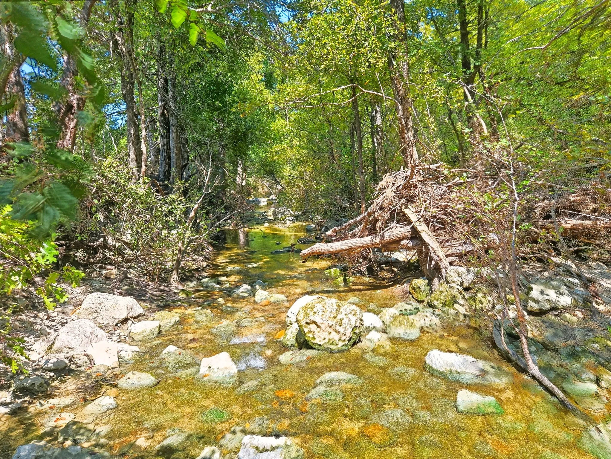 Ranch For Sale in Coryell County , TBD-196.5 acres FM 116 Road, Gatesville, Texas 76528, 0, 0, Garage spaces, 0 Sqft, built in 0, mls#21057769, Real Estate Agent in Gatesville, Homes For Sale in Coryell county, Homes For Sale in Gatesville, Realtor in Gatesville Texas, Real Estate Brokerage Independent Realty Texas, Luminita Cordes Realtor