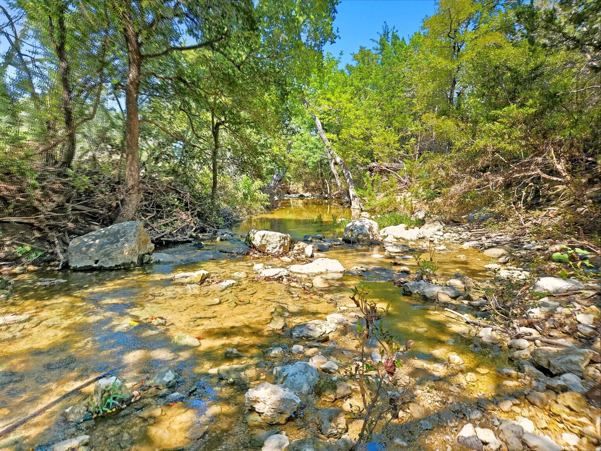 Ranch For Sale in Coryell County , TBD-196.5 acres FM 116 Road, Gatesville, Texas 76528, 0, 0, Garage spaces, 0 Sqft, built in 0, mls#21057769, Real Estate Agent in Gatesville, Homes For Sale in Coryell county, Homes For Sale in Gatesville, Realtor in Gatesville Texas, Real Estate Brokerage Independent Realty Texas, Luminita Cordes Realtor