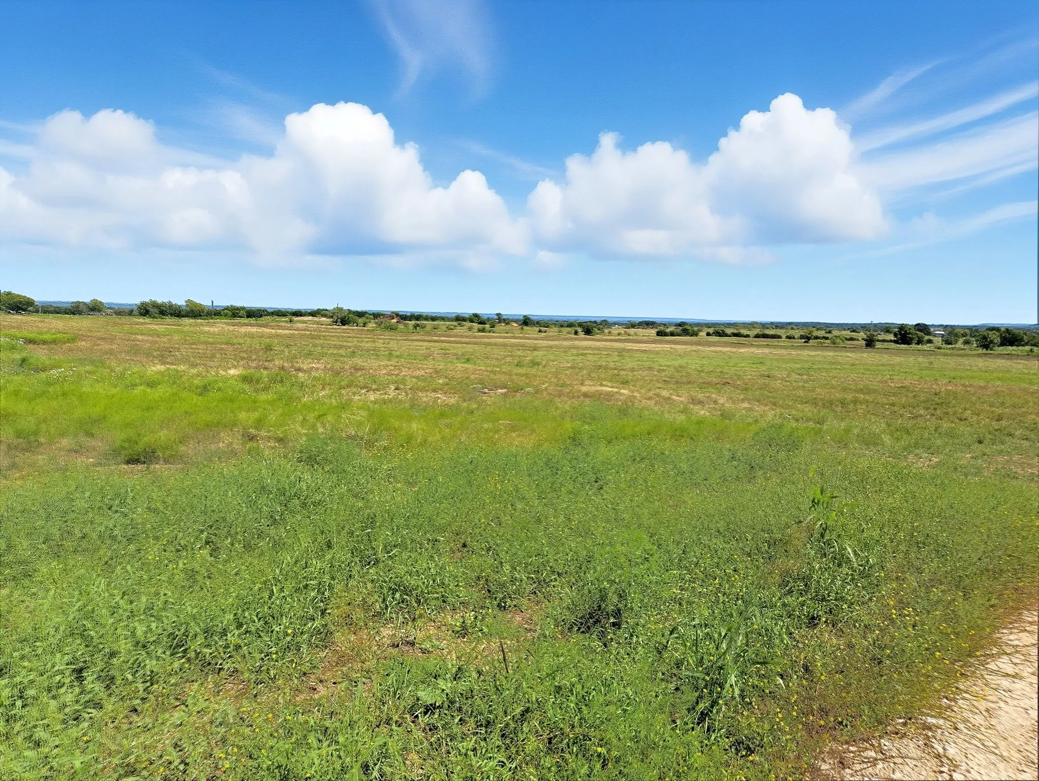 Ranch For Sale in Coryell County , TBD-196.5 acres FM 116 Road, Gatesville, Texas 76528, 0, 0, Garage spaces, 0 Sqft, built in 0, mls#21057769, Real Estate Agent in Gatesville, Homes For Sale in Coryell county, Homes For Sale in Gatesville, Realtor in Gatesville Texas, Real Estate Brokerage Independent Realty Texas, Luminita Cordes Realtor
