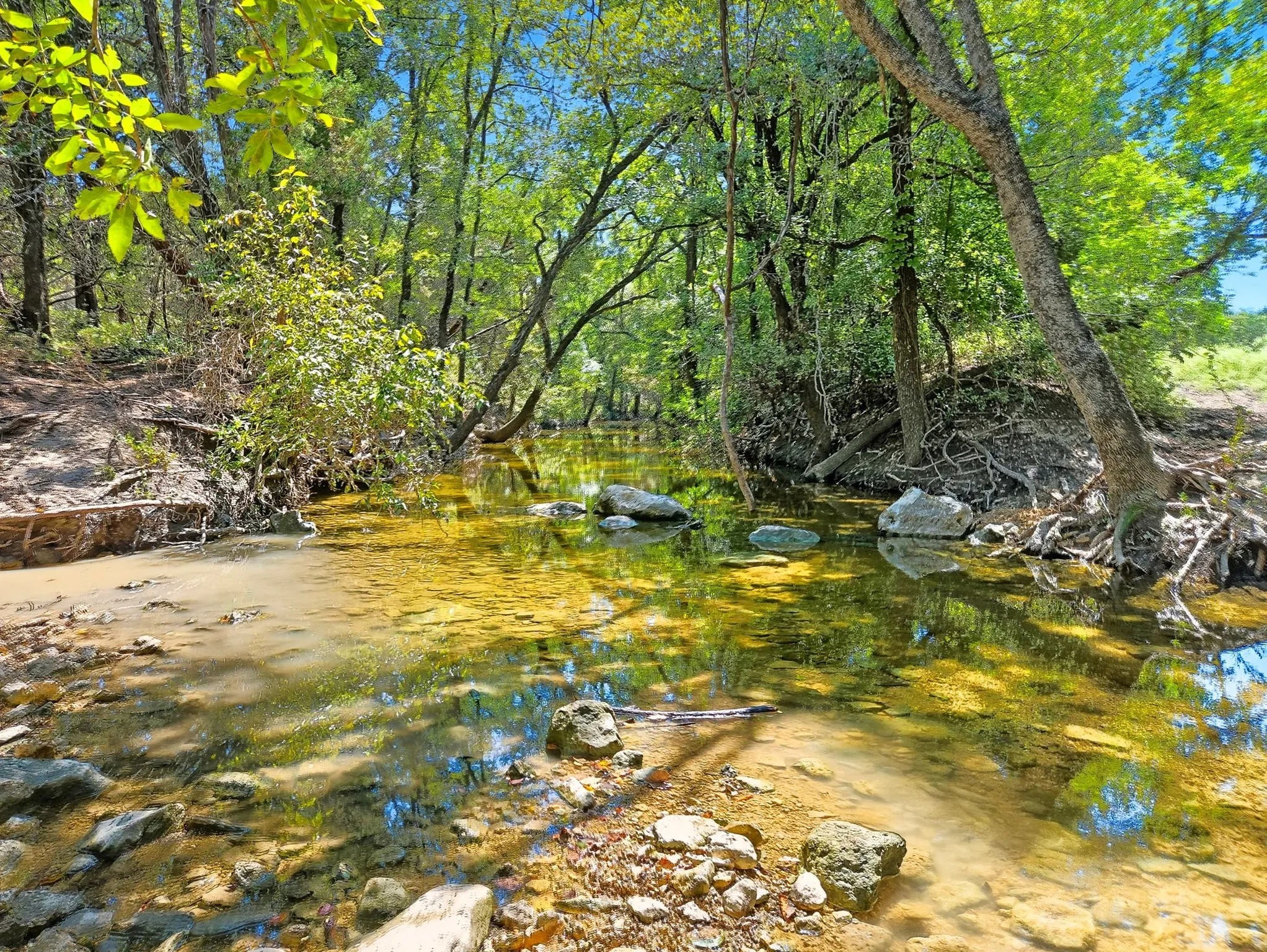 Ranch For Sale in Coryell County , TBD-196.5 acres FM 116 Road, Gatesville, Texas 76528, 0, 0, Garage spaces, 0 Sqft, built in 0, mls#21057769, Real Estate Agent in Gatesville, Homes For Sale in Coryell county, Homes For Sale in Gatesville, Realtor in Gatesville Texas, Real Estate Brokerage Independent Realty Texas, Luminita Cordes Realtor