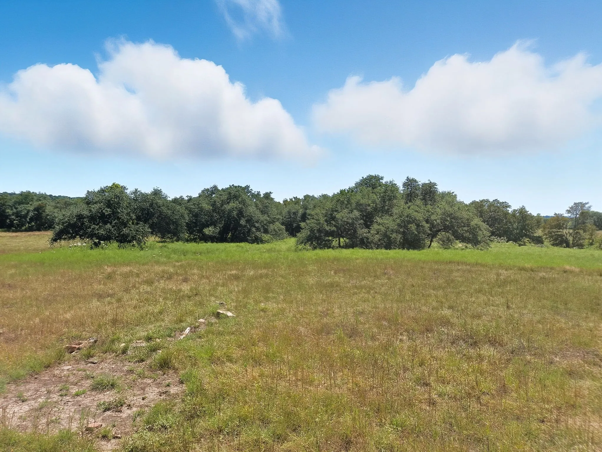 Ranch For Sale in Coryell County , TBD-196.5 acres FM 116 Road, Gatesville, Texas 76528, 0, 0, Garage spaces, 0 Sqft, built in 0, mls#21057769, Real Estate Agent in Gatesville, Homes For Sale in Coryell county, Homes For Sale in Gatesville, Realtor in Gatesville Texas, Real Estate Brokerage Independent Realty Texas, Luminita Cordes Realtor