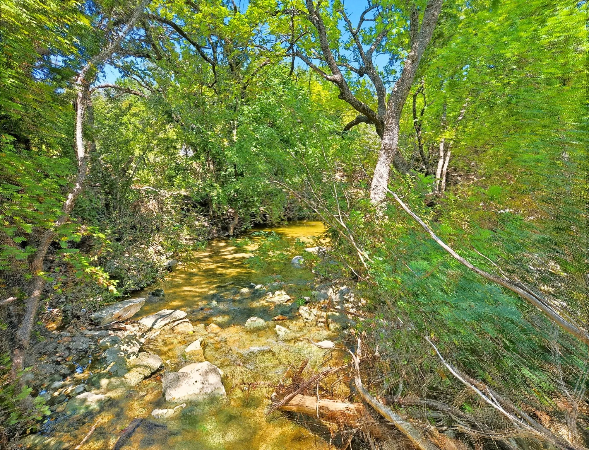 Ranch For Sale in Coryell County , TBD-196.5 acres FM 116 Road, Gatesville, Texas 76528, 0, 0, Garage spaces, 0 Sqft, built in 0, mls#21057769, Real Estate Agent in Gatesville, Homes For Sale in Coryell county, Homes For Sale in Gatesville, Realtor in Gatesville Texas, Real Estate Brokerage Independent Realty Texas, Luminita Cordes Realtor