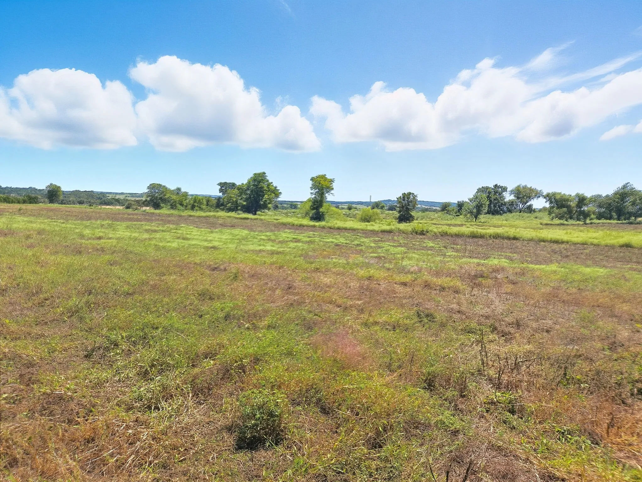 Ranch For Sale in Coryell County , TBD-196.5 acres FM 116 Road, Gatesville, Texas 76528, 0, 0, Garage spaces, 0 Sqft, built in 0, mls#21057769, Real Estate Agent in Gatesville, Homes For Sale in Coryell county, Homes For Sale in Gatesville, Realtor in Gatesville Texas, Real Estate Brokerage Independent Realty Texas, Luminita Cordes Realtor