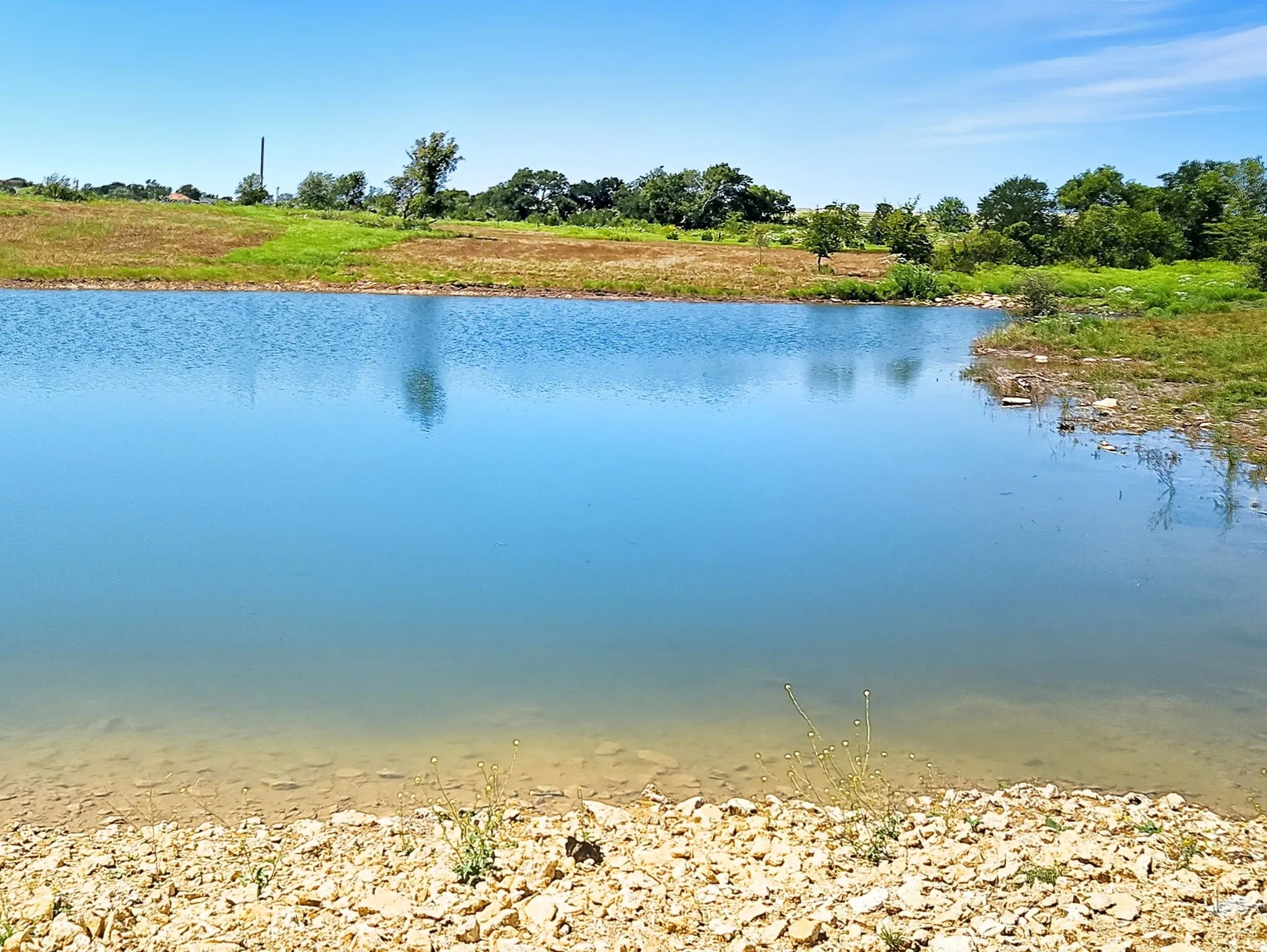 Ranch For Sale in Coryell County , TBD-196.5 acres FM 116 Road, Gatesville, Texas 76528, 0, 0, Garage spaces, 0 Sqft, built in 0, mls#21057769, Real Estate Agent in Gatesville, Homes For Sale in Coryell county, Homes For Sale in Gatesville, Realtor in Gatesville Texas, Real Estate Brokerage Independent Realty Texas, Luminita Cordes Realtor