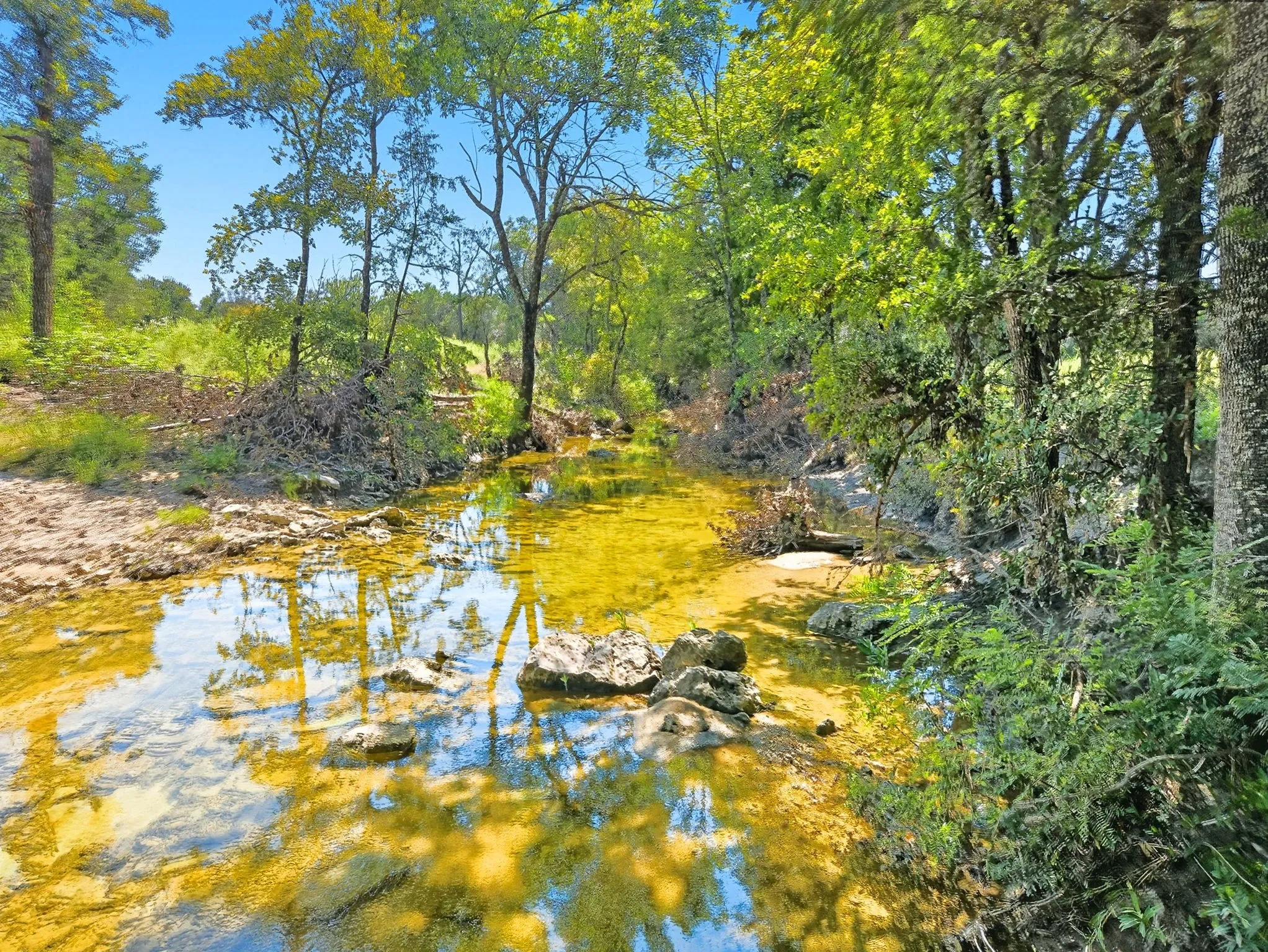 Ranch For Sale in Coryell County , TBD-196.5 acres FM 116 Road, Gatesville, Texas 76528, 0, 0, Garage spaces, 0 Sqft, built in 0, mls#21057769, Real Estate Agent in Gatesville, Homes For Sale in Coryell county, Homes For Sale in Gatesville, Realtor in Gatesville Texas, Real Estate Brokerage Independent Realty Texas, Luminita Cordes Realtor