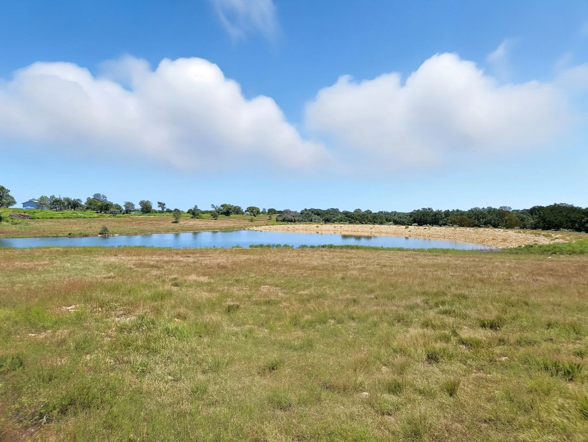 Ranch For Sale in Coryell County , TBD-196.5 acres FM 116 Road, Gatesville, Texas 76528, 0, 0, Garage spaces, 0 Sqft, built in 0, mls#21057769, Real Estate Agent in Gatesville, Homes For Sale in Coryell county, Homes For Sale in Gatesville, Realtor in Gatesville Texas, Real Estate Brokerage Independent Realty Texas, Luminita Cordes Realtor