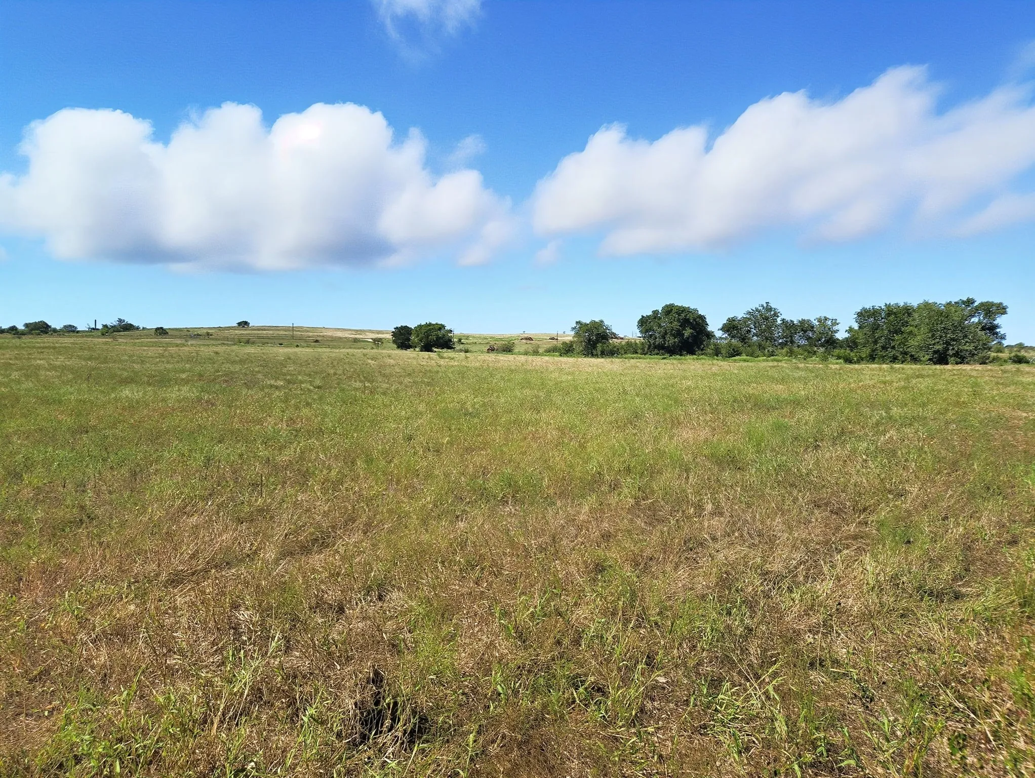 Ranch For Sale in Coryell County , TBD-196.5 acres FM 116 Road, Gatesville, Texas 76528, 0, 0, Garage spaces, 0 Sqft, built in 0, mls#21057769, Real Estate Agent in Gatesville, Homes For Sale in Coryell county, Homes For Sale in Gatesville, Realtor in Gatesville Texas, Real Estate Brokerage Independent Realty Texas, Luminita Cordes Realtor