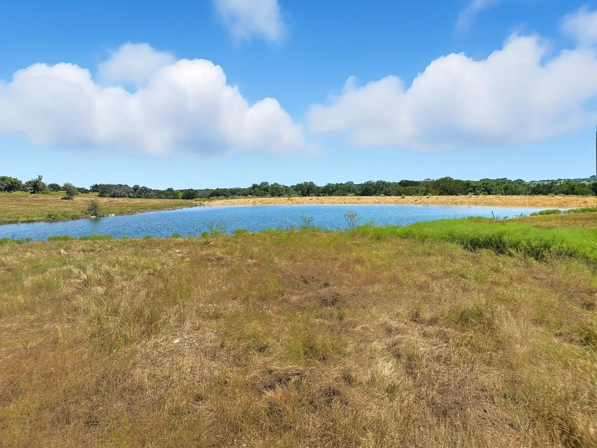 Ranch For Sale in Coryell County , TBD-196.5 acres FM 116 Road, Gatesville, Texas 76528, 0, 0, Garage spaces, 0 Sqft, built in 0, mls#21057769, Real Estate Agent in Gatesville, Homes For Sale in Coryell county, Homes For Sale in Gatesville, Realtor in Gatesville Texas, Real Estate Brokerage Independent Realty Texas, Luminita Cordes Realtor