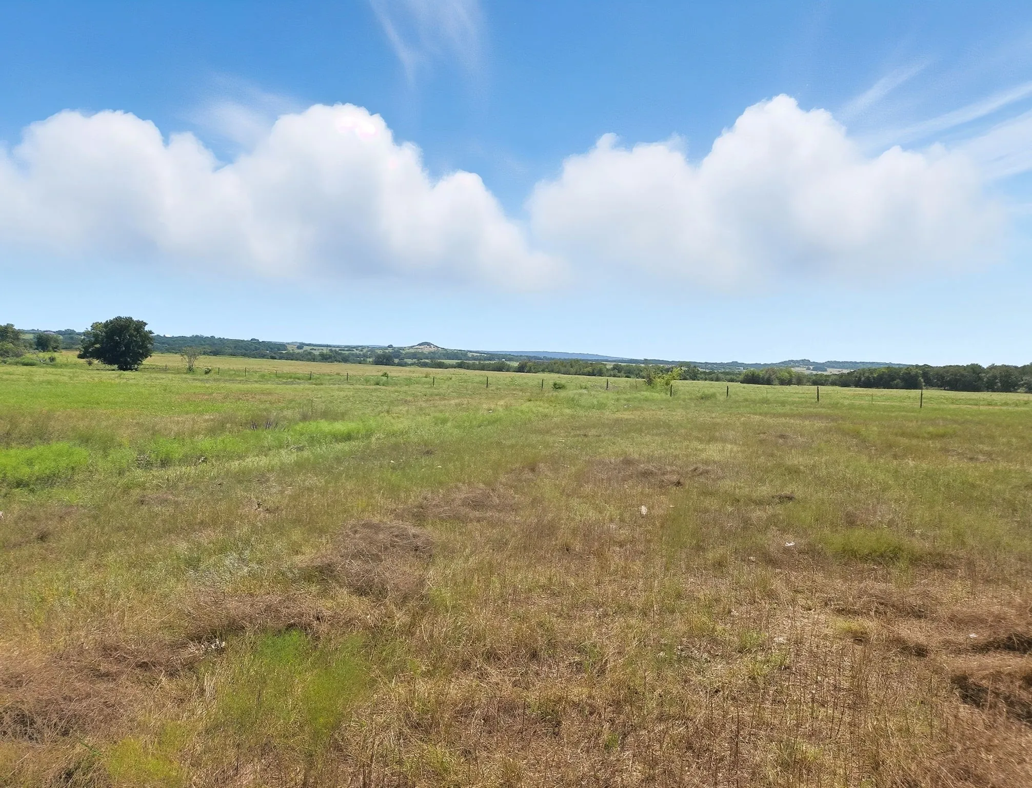 Ranch For Sale in Coryell County , TBD-196.5 acres FM 116 Road, Gatesville, Texas 76528, 0, 0, Garage spaces, 0 Sqft, built in 0, mls#21057769, Real Estate Agent in Gatesville, Homes For Sale in Coryell county, Homes For Sale in Gatesville, Realtor in Gatesville Texas, Real Estate Brokerage Independent Realty Texas, Luminita Cordes Realtor