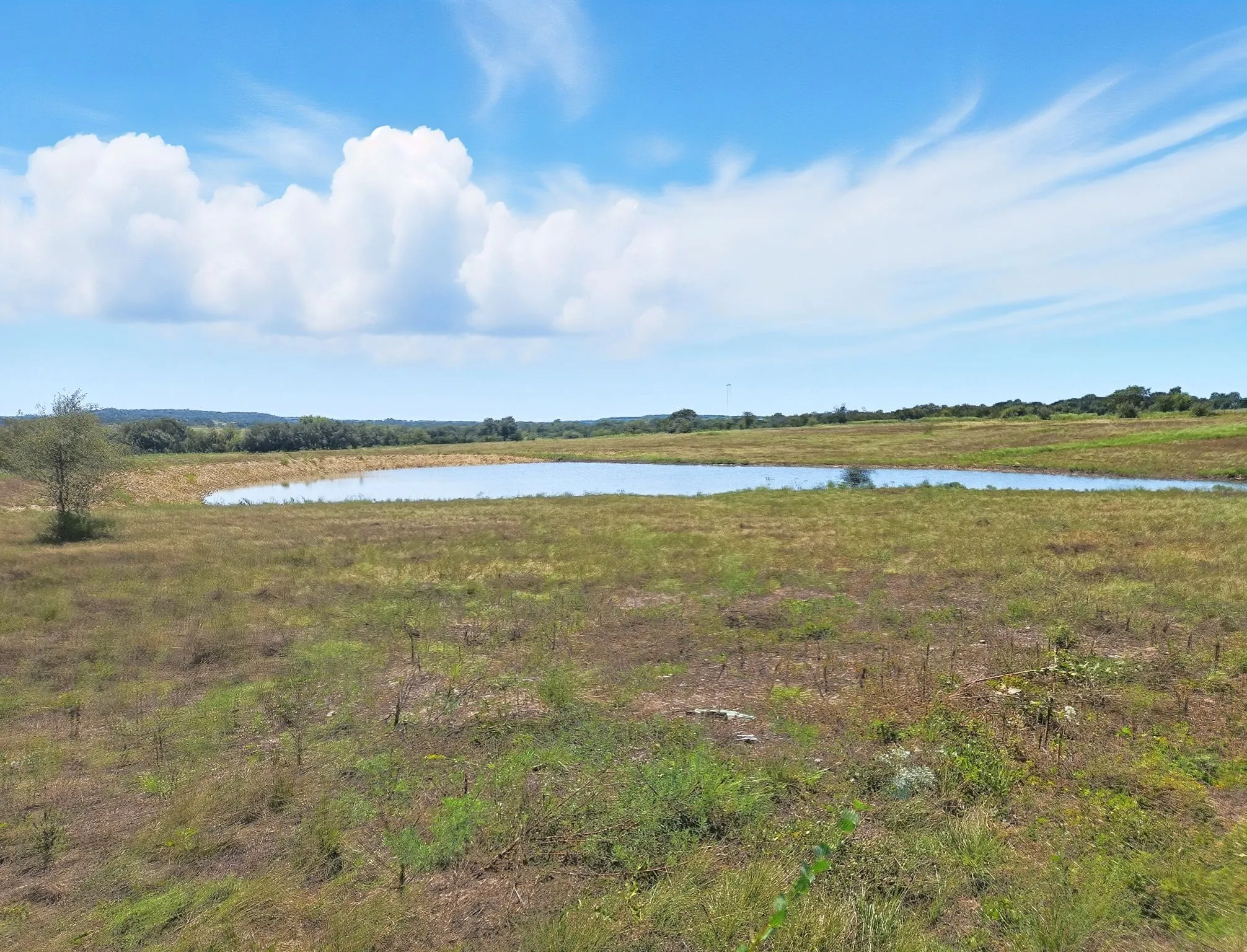 Ranch For Sale in Coryell County , TBD-196.5 acres FM 116 Road, Gatesville, Texas 76528, 0, 0, Garage spaces, 0 Sqft, built in 0, mls#21057769, Real Estate Agent in Gatesville, Homes For Sale in Coryell county, Homes For Sale in Gatesville, Realtor in Gatesville Texas, Real Estate Brokerage Independent Realty Texas, Luminita Cordes Realtor